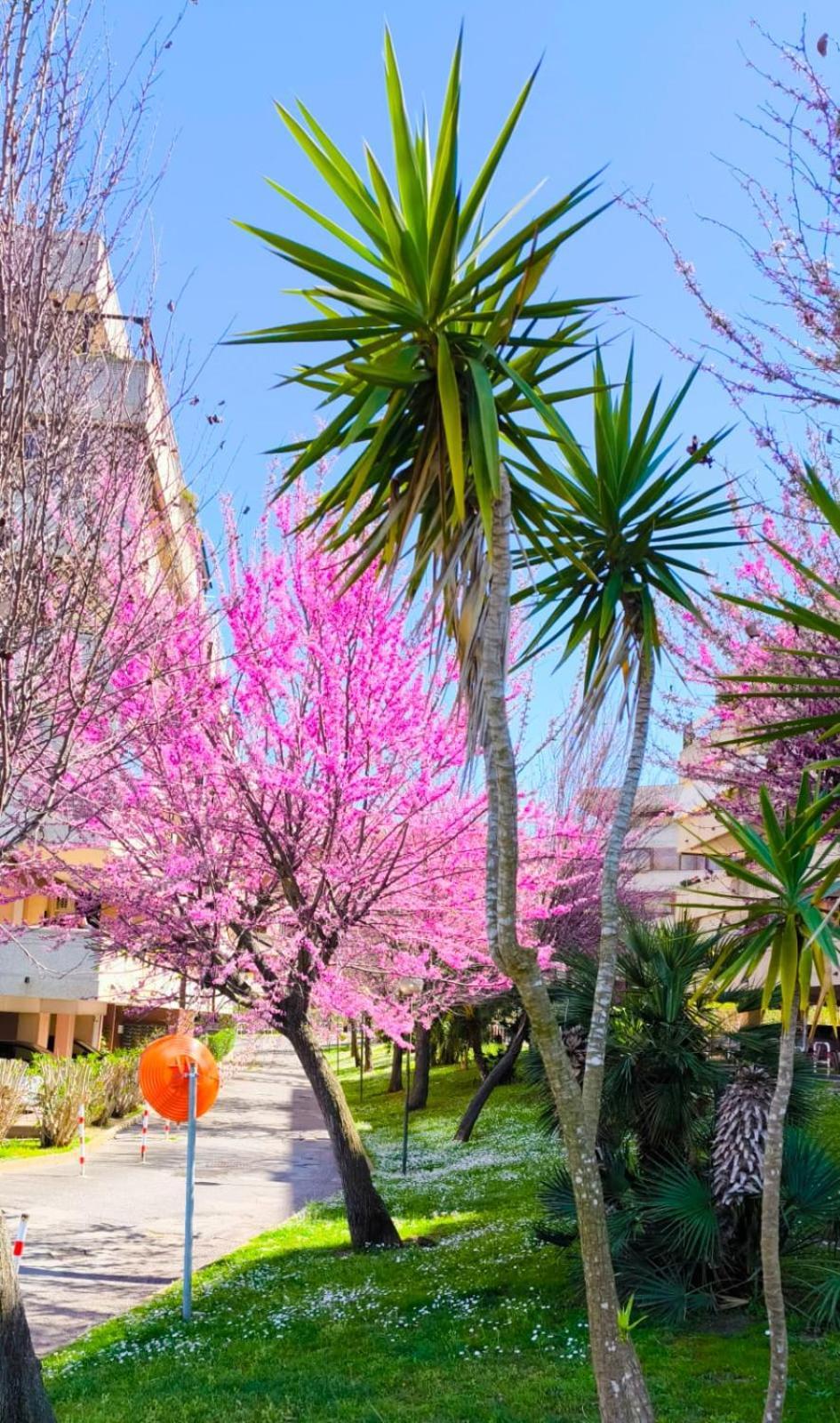 Rome Sweet Home Vitinia ภายนอก รูปภาพ