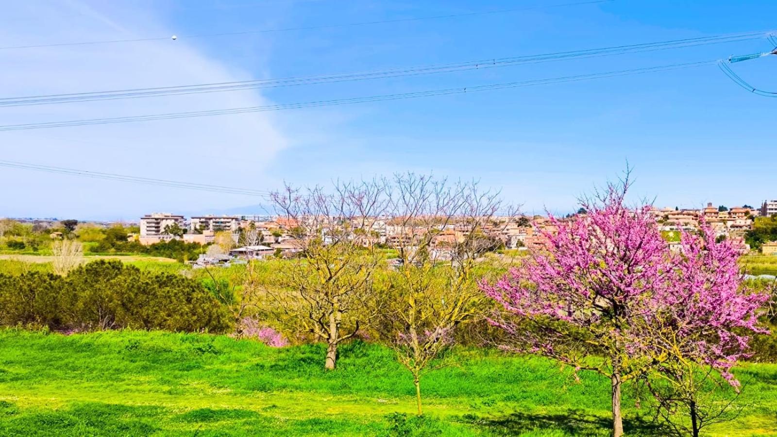 Rome Sweet Home Vitinia ภายนอก รูปภาพ