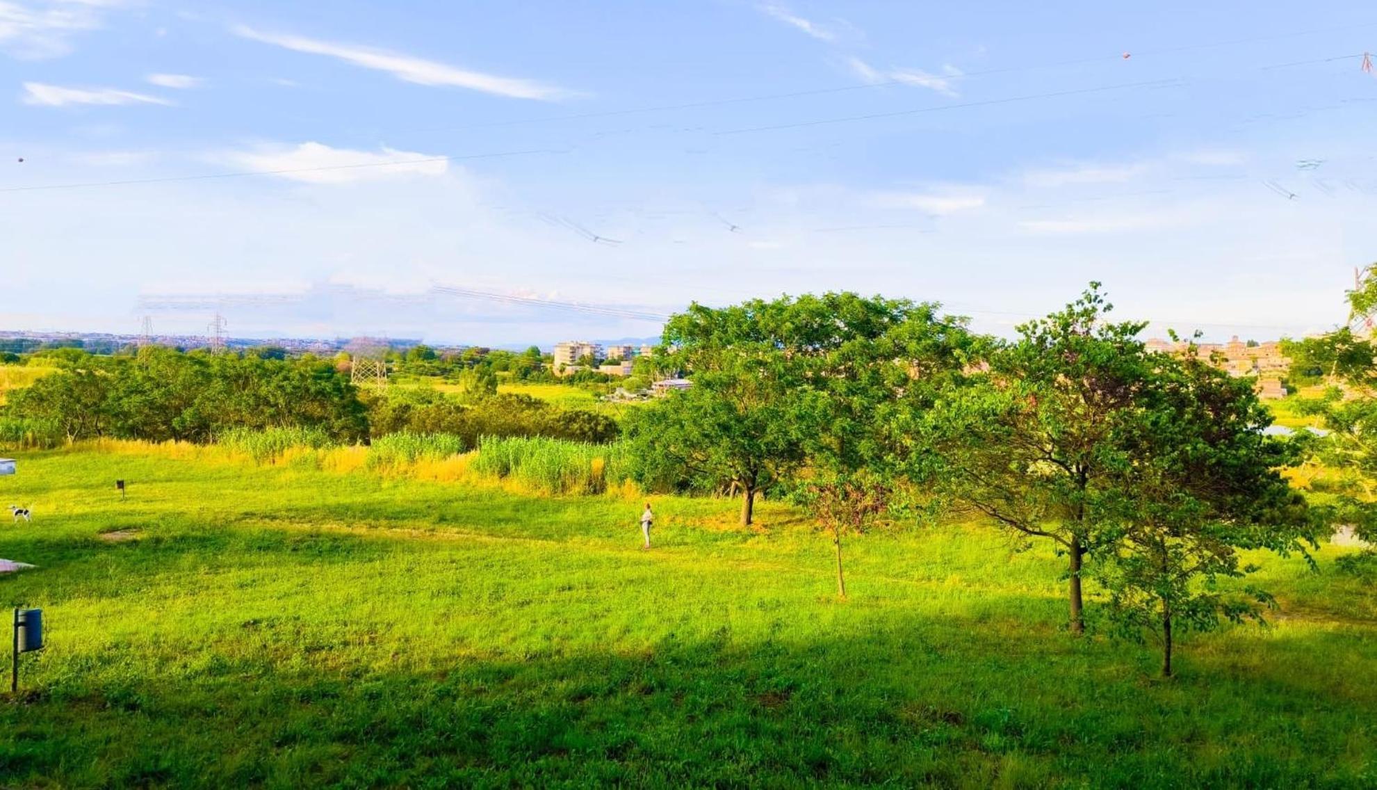Rome Sweet Home Vitinia ภายนอก รูปภาพ